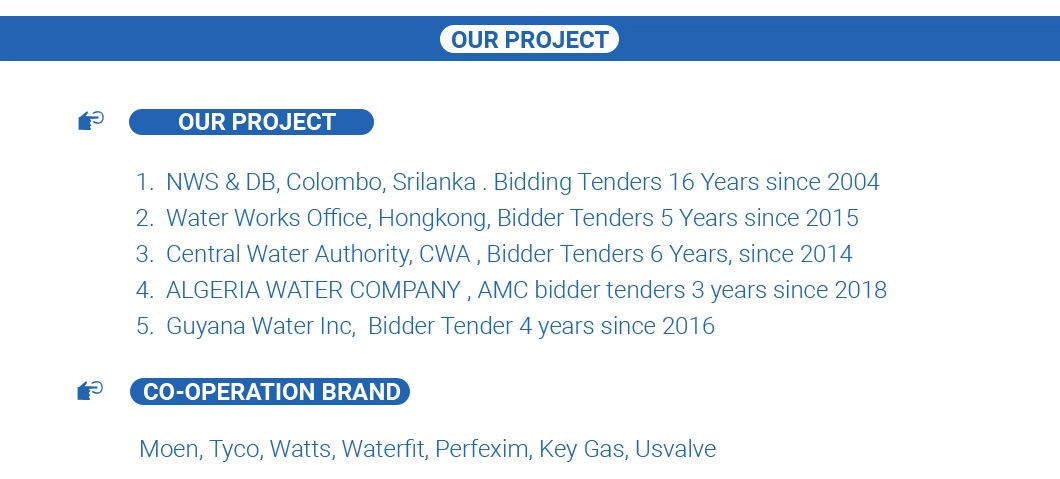 OEM/ODM Lead Free Brass Dual Check Valve